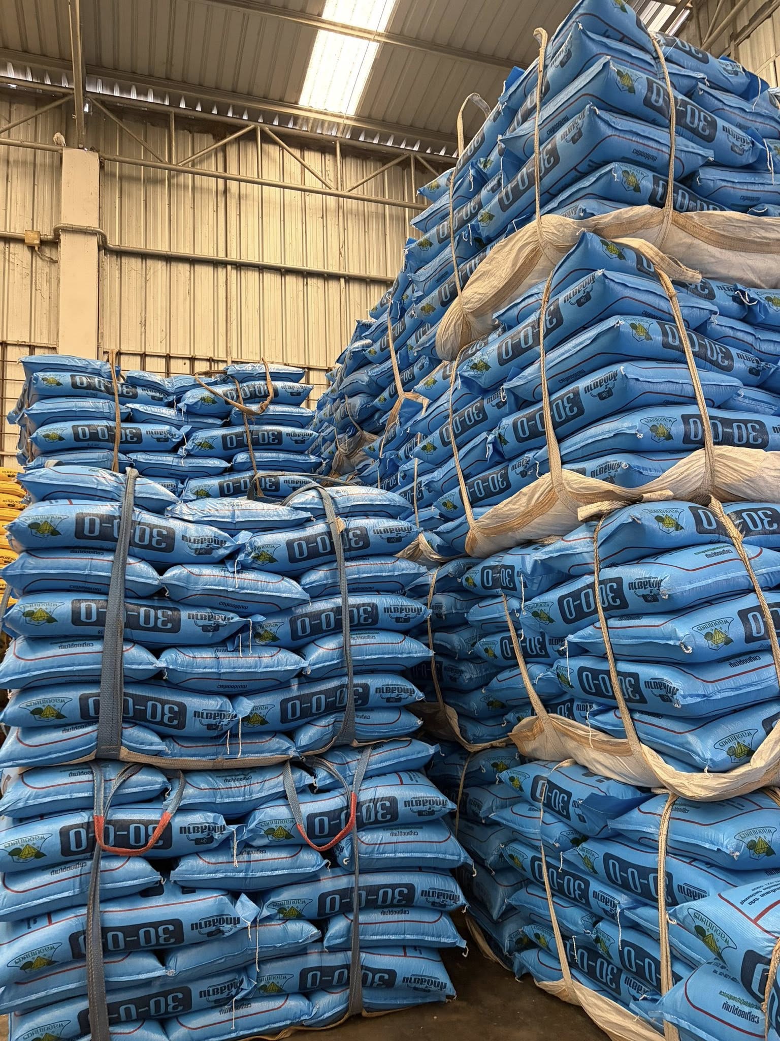 ปุ๋ย & บำรุงดิน