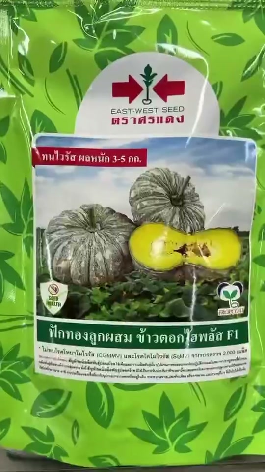 ข้าวตอกไฮพลัส1