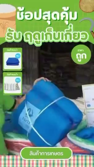 ผ้าลานตากข้าว