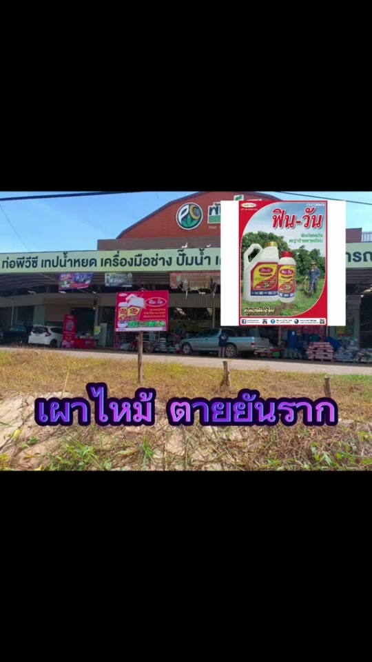 ฟินวันตายเรียยยันราก