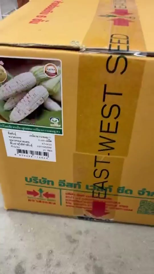 ออเดอร์ปังทุกวัน