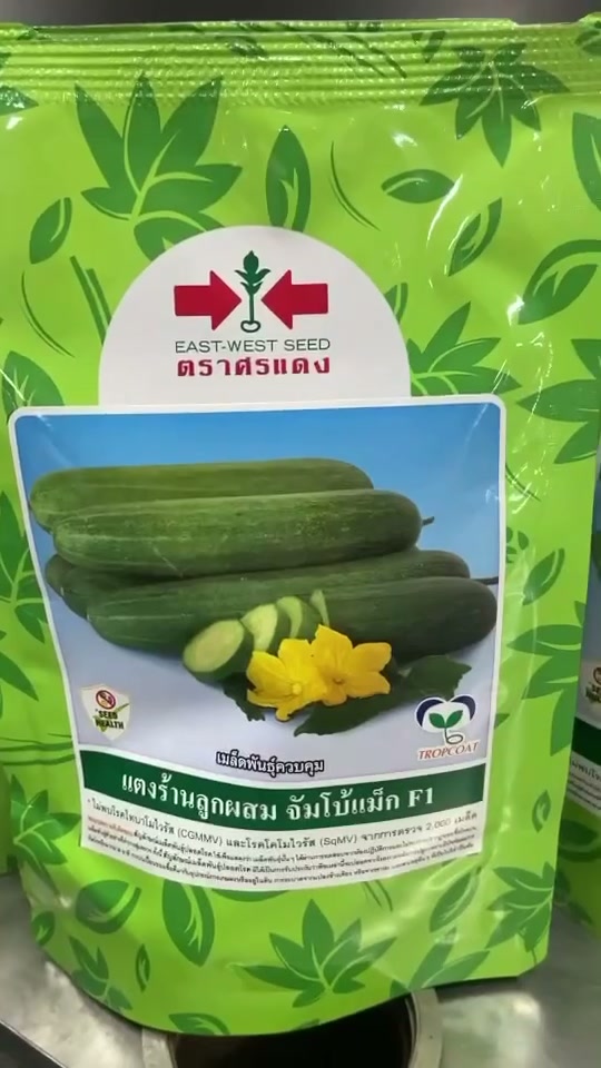 แตงลูกผสม