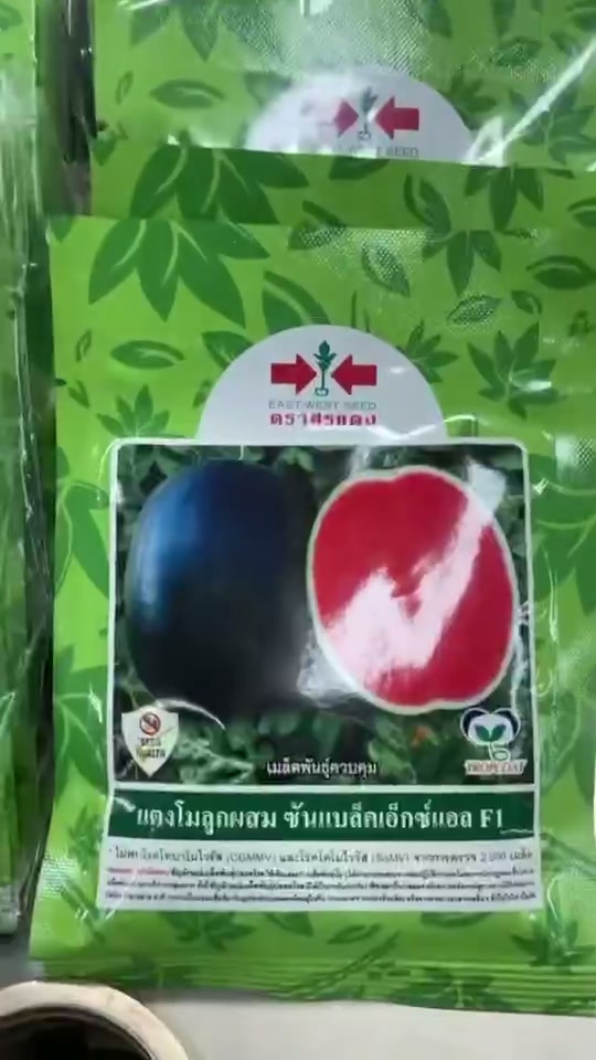 แตงโมซันแบล็คXL